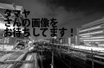 富山市の（株）タマヤ／富山支店